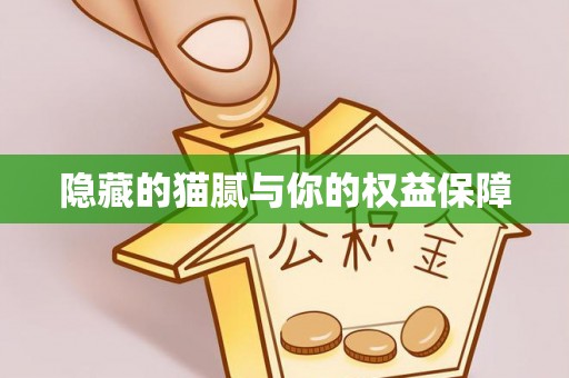 肃宁隐藏的猫腻与你的权益保障