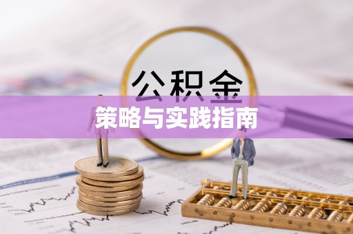 肃宁策略与实践指南