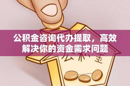 肃宁公积金咨询代办提取，高效解决你的资金需求问题