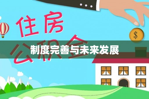 肃宁制度完善与未来发展