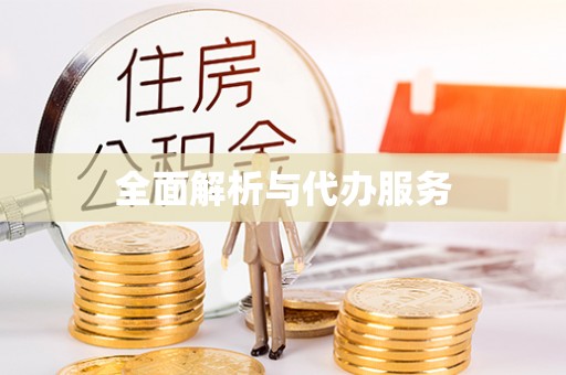 肃宁全面解析与代办服务