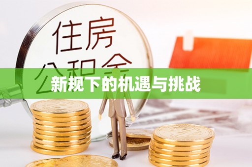 肃宁新规下的机遇与挑战