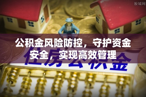 肃宁公积金风险防控，守护资金安全，实现高效管理