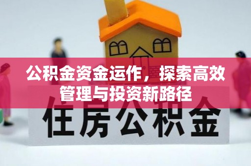 肃宁公积金资金运作，探索高效管理与投资新路径