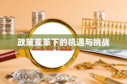 肃宁政策变革下的机遇与挑战