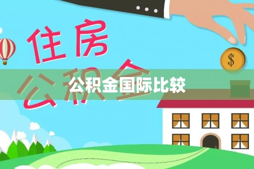肃宁公积金国际比较