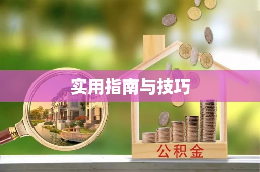肃宁实用指南与技巧