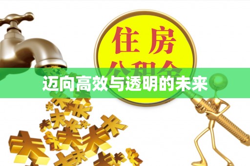 肃宁迈向高效与透明的未来