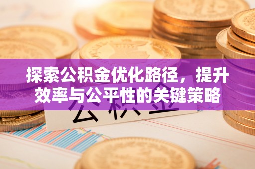 肃宁探索公积金优化路径，提升效率与公平性的关键策略
