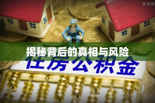 肃宁揭秘背后的真相与风险