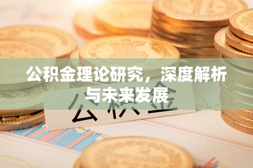 肃宁公积金理论研究，深度解析与未来发展