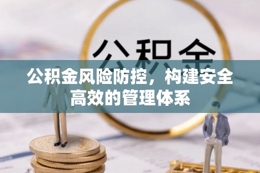 肃宁公积金风险防控，构建安全高效的管理体系