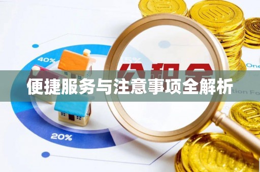 肃宁便捷服务与注意事项全解析