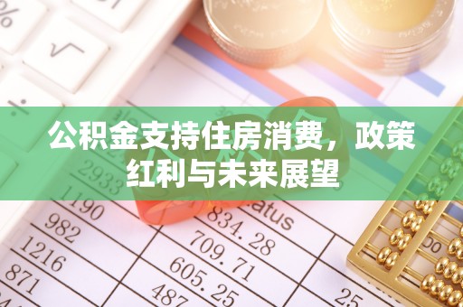 肃宁公积金支持住房消费，政策红利与未来展望