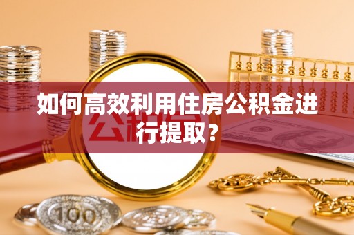 肃宁如何高效利用住房公积金进行提取？