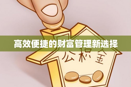 肃宁高效便捷的财富管理新选择