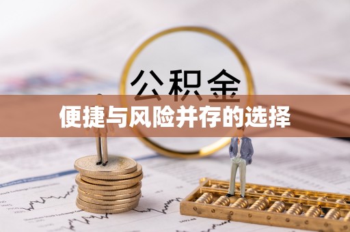 肃宁便捷与风险并存的选择
