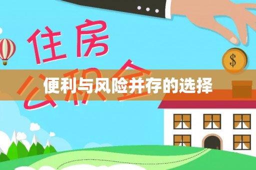 肃宁便利与风险并存的选择