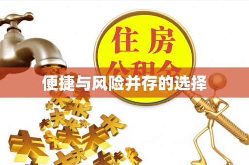 肃宁便捷与风险并存的选择