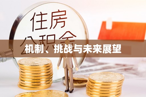 肃宁机制、挑战与未来展望