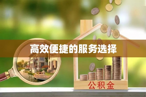 肃宁高效便捷的服务选择