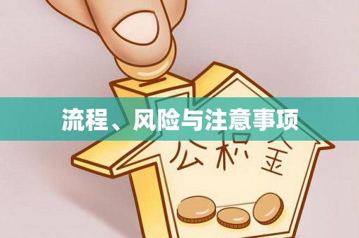 肃宁流程、风险与注意事项