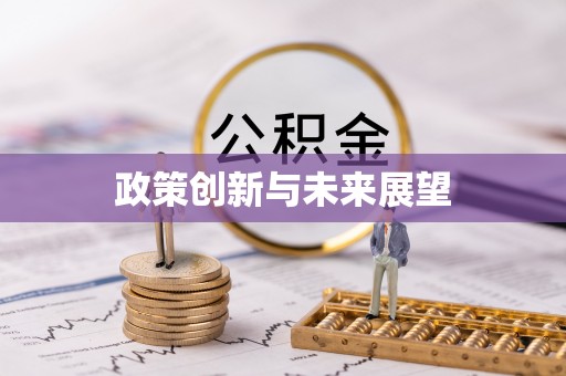 肃宁政策创新与未来展望