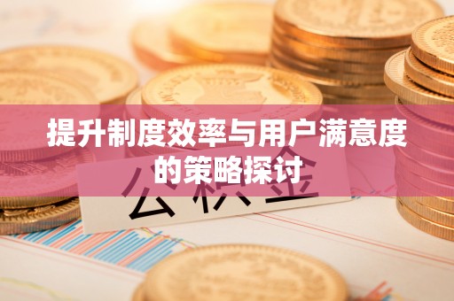 肃宁提升制度效率与用户满意度的策略探讨