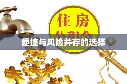 肃宁便捷与风险并存的选择