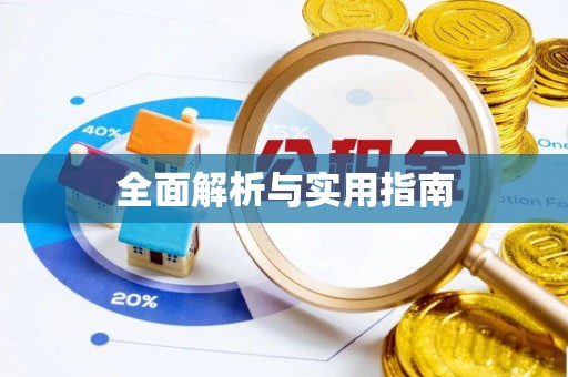 肃宁全面解析与实用指南