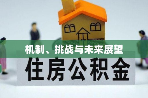 肃宁机制、挑战与未来展望